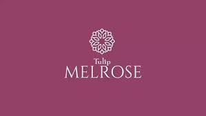 Tulip Melrose